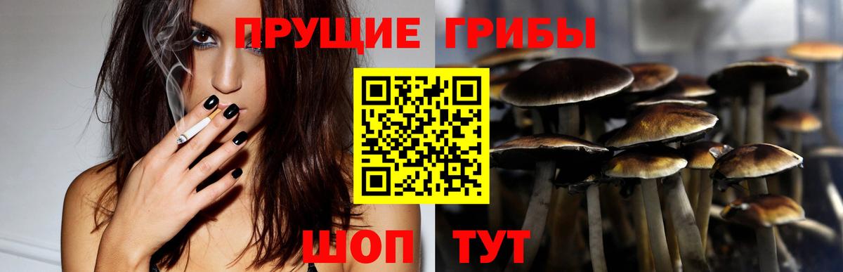 Галлюциногенные грибы Psilocybine cubensis Волжск