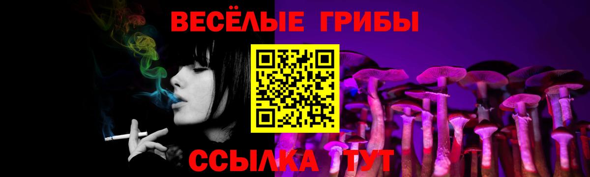 Псилоцибиновые грибы Psilocybe  Псилоцибиновые грибы MAGIC MUSHROOMS  Волжск  Вход с VPN 